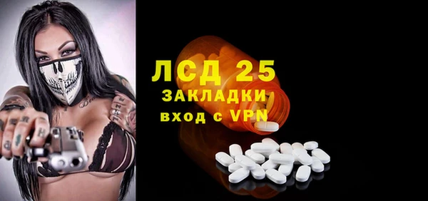 дживик Верхний Тагил