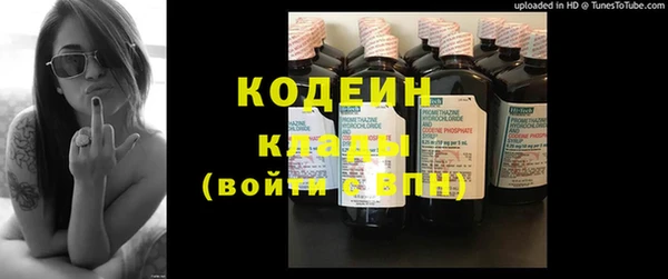 дживик Верхний Тагил