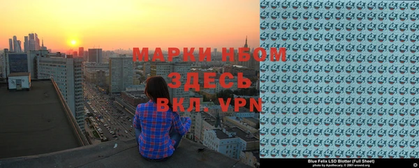 дживик Верхний Тагил