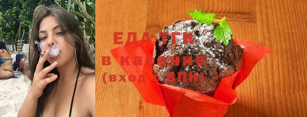 дживик Верхний Тагил
