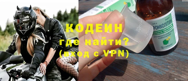 дживик Верхний Тагил