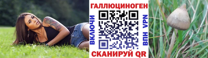 Псилоцибиновые грибы ЛСД Каспийск